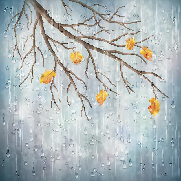 Rainy Tree Toughened Glass Kitchen Splashback - Adhesive Included