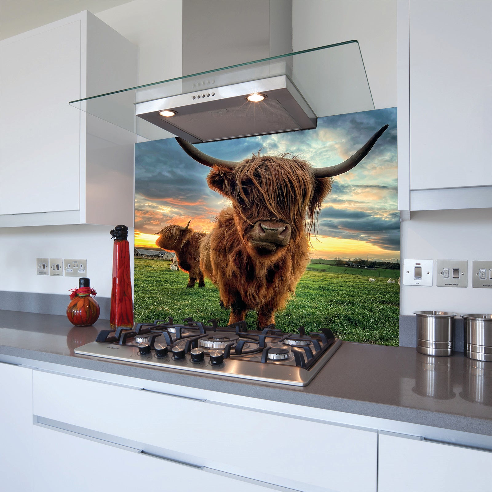 Highland Cow Toughened Glass Kitchen Splashback - Adhesive Included