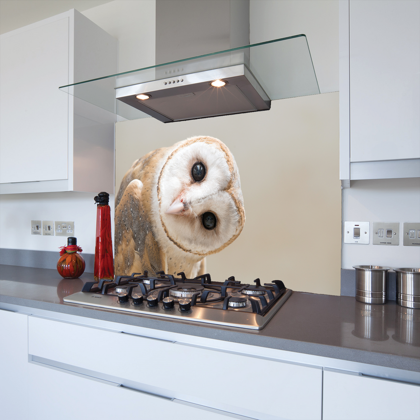 Watching Owl Toughened Glass Kitchen Splashback - Adhesive Included