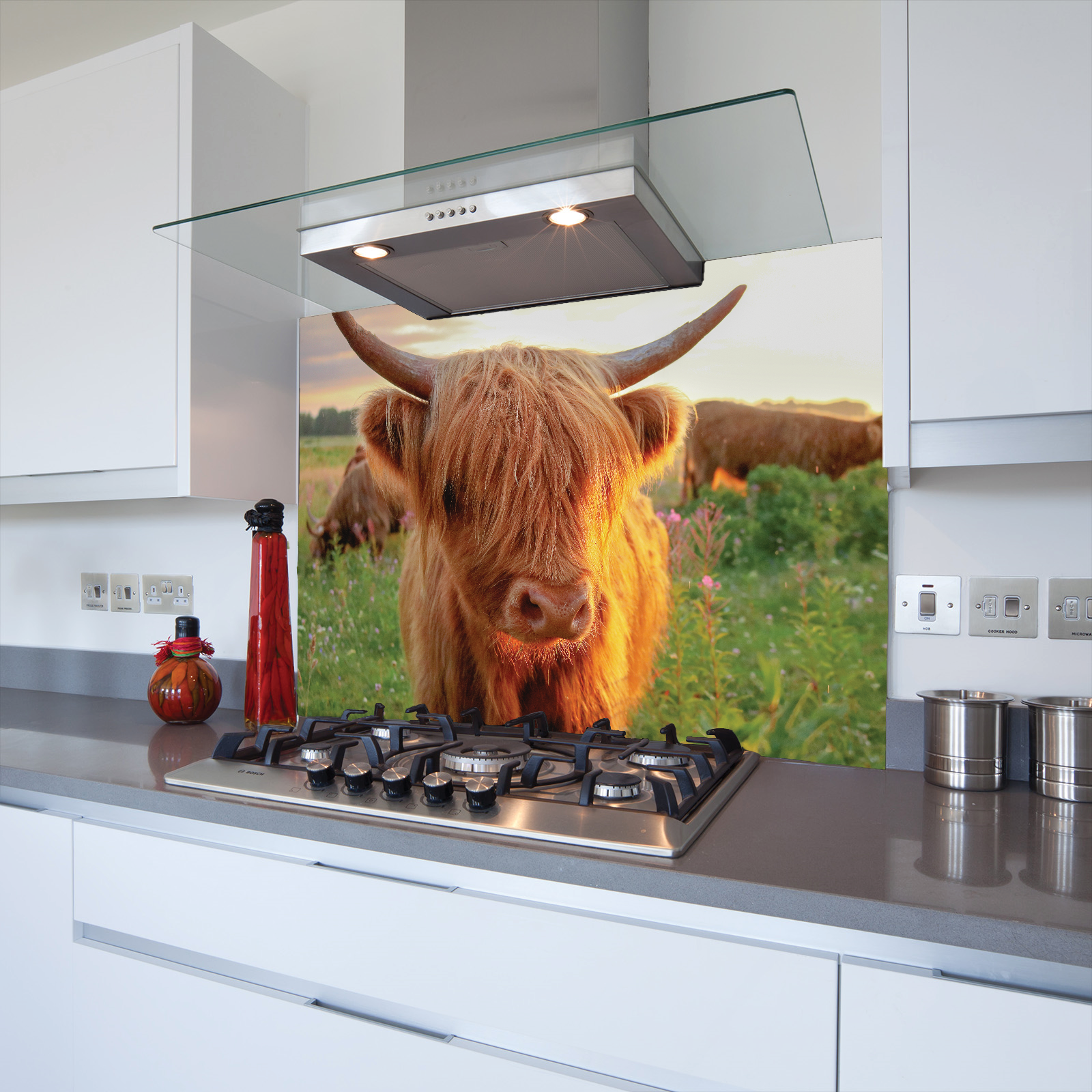 Highland Cow in the Sun Toughened Glass Kitchen Splashback - Adhesive Included