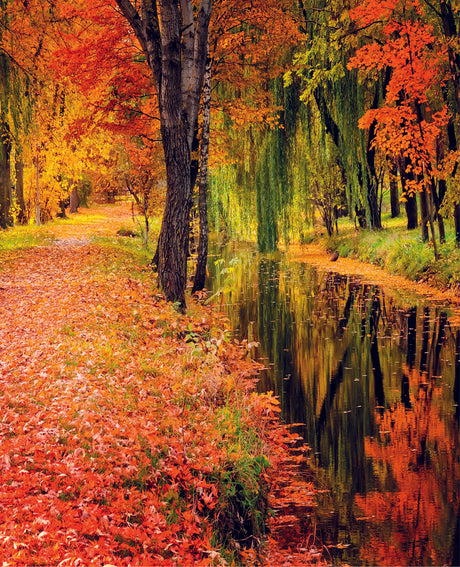 Autumn Forest Toughened Glass Kitchen Splashback - Adhesive Included