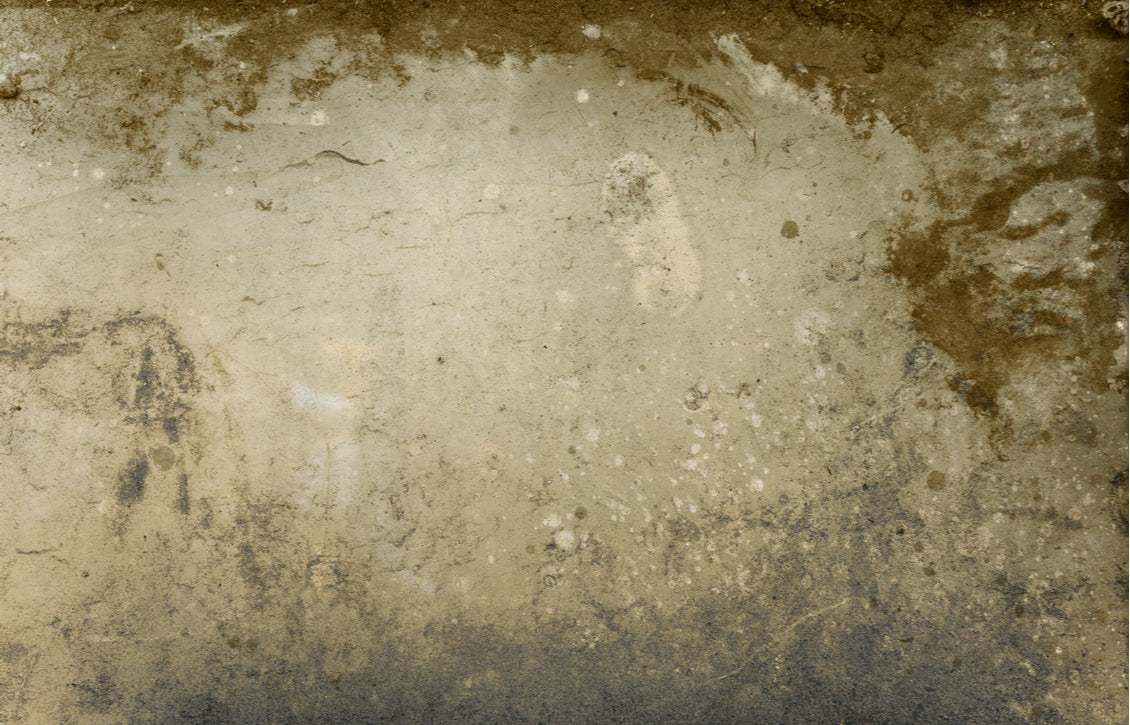 Tarnished Stone Toughened Glass Kitchen Splashback - Adhesive Included